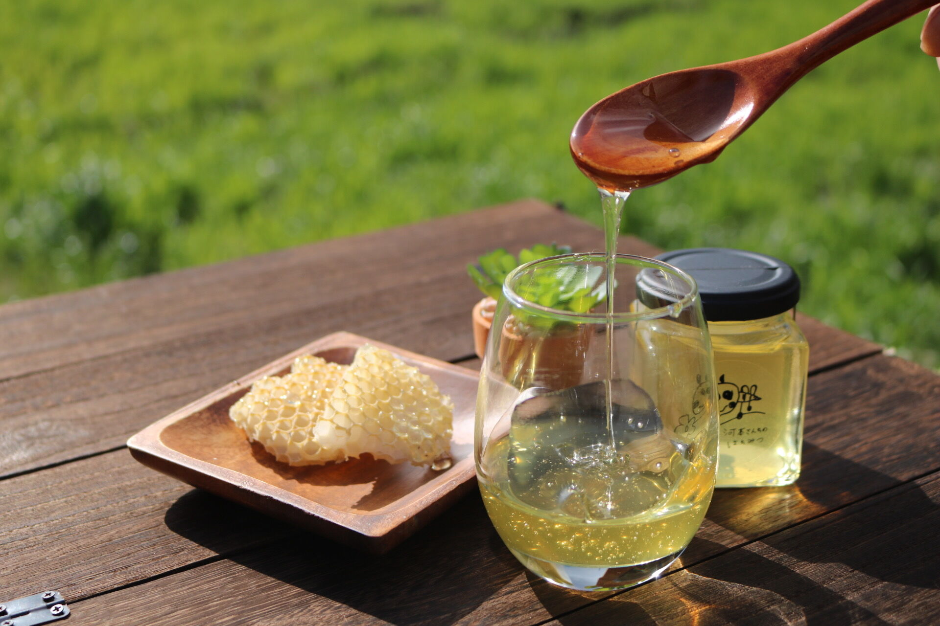 河本屋の表紙写真